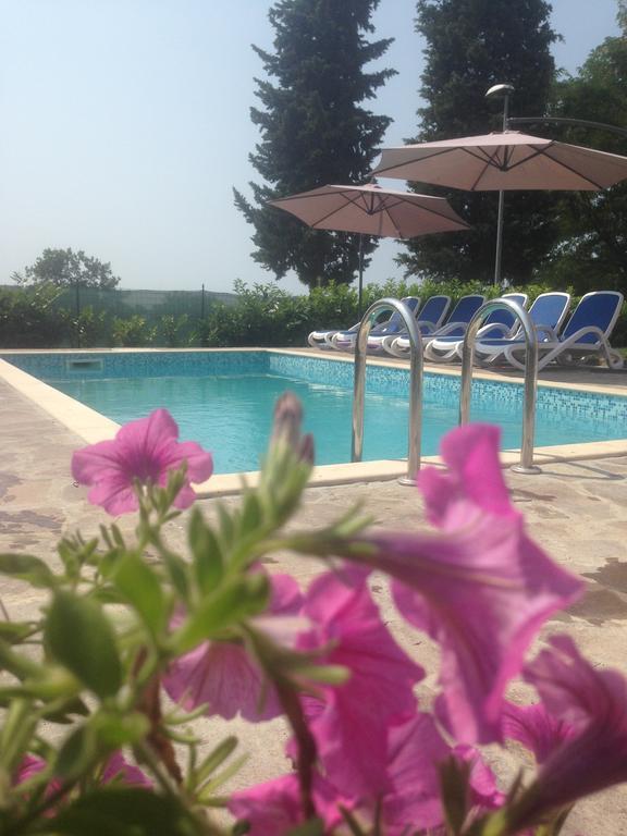 Apartment Rosa Umag